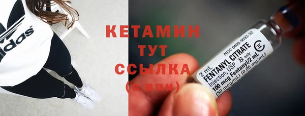 PSILOCYBIN Вуктыл