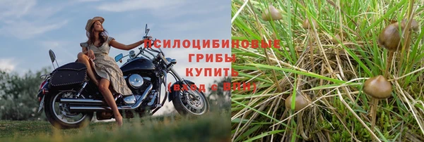 jwh Няндома