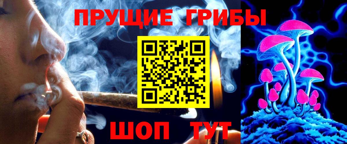 Псилоцибиновые грибы GOLDEN TEACHER Старая Купавна