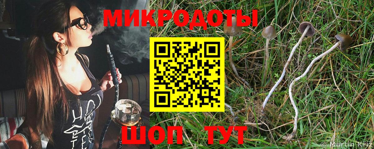 Псилоцибиновые грибы MAGIC MUSHROOMS  Галлюциногенные грибы Psilocybine cubensis  Старая Купавна  Вход с VPN 